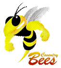 Bee-4cm